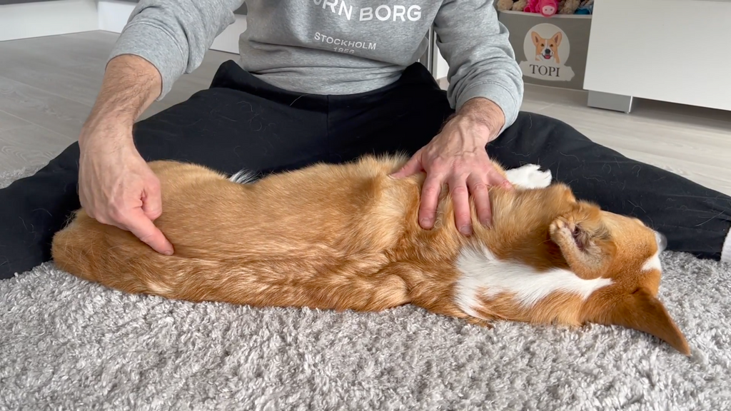 Massage course - English